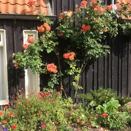 Suikerdiefje Schoorl Buitenkant foto
